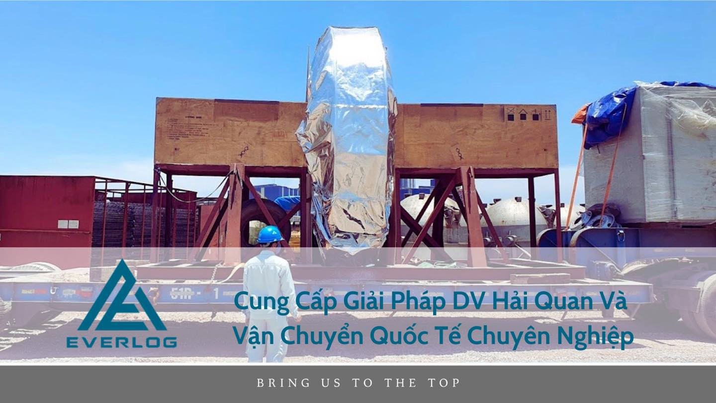 lĩnh vực hoạt động